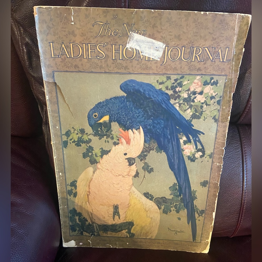 Ladies Home Journal March 1916
Poor Condition but Very Interesting
